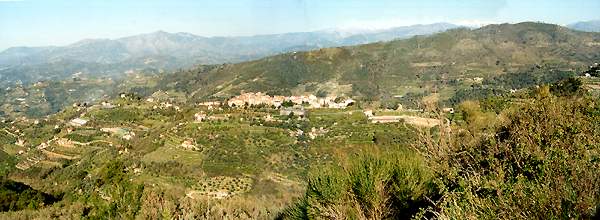 Click picture for larger version